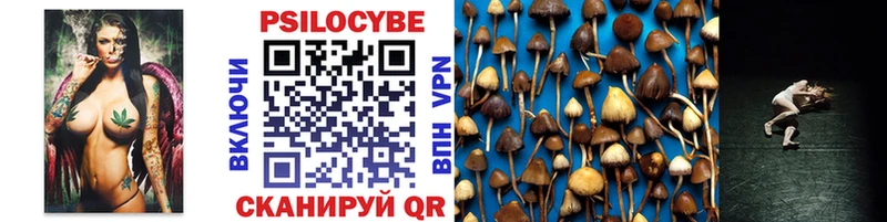 купить shop состав Галлюциногенные грибы Cubensis Любань